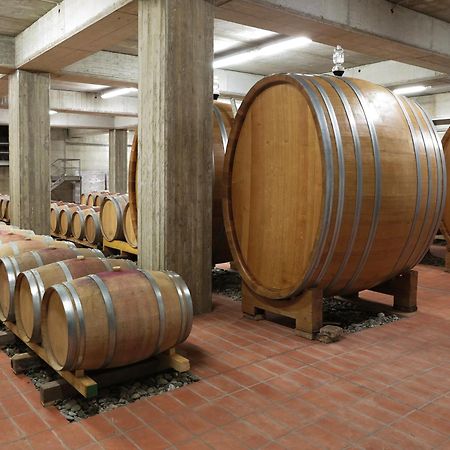 Poderi Firenze Pensionat Cinigiano Eksteriør billede