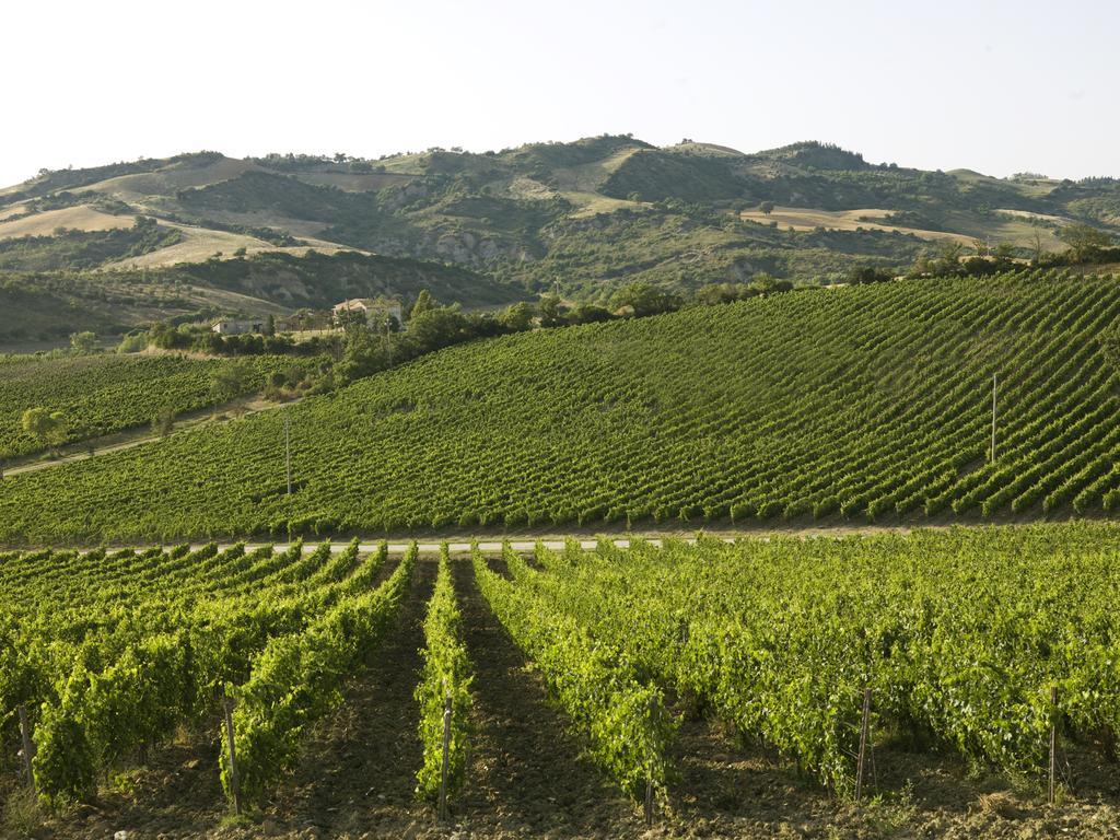 Poderi Firenze Pensionat Cinigiano Eksteriør billede